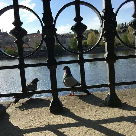 레트나 아파트먼트 아파트